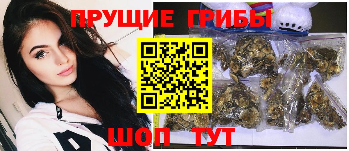 Галлюциногенные грибы мицелий Балашов