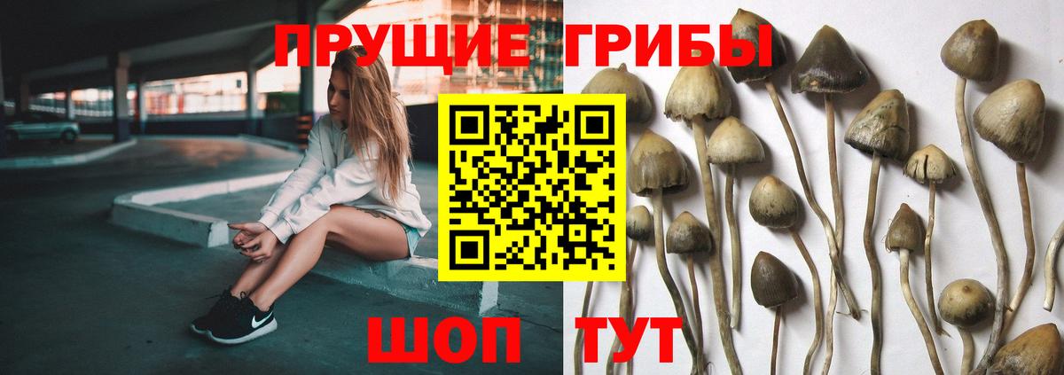Псилоцибиновые грибы ЛСД  Вход с VPN  Балашов  Галлюциногенные грибы MAGIC MUSHROOMS 
